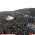 16_55-nest.jpg