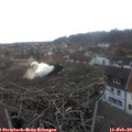 17_05-nest.jpg