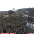 17_10-nest.jpg
