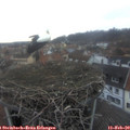 17_25-nest.jpg