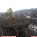 07_45-nest.jpg