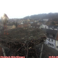 08_15-nest.jpg