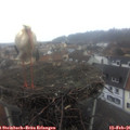 08_25-nest.jpg