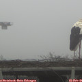 08_45-mast.jpg