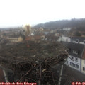 09_05-nest.jpg