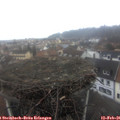 09_20-nest.jpg