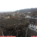 09_25-nest.jpg