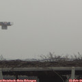 09_30-mast.jpg