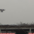 09_35-mast.jpg