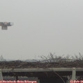 09_50-mast.jpg