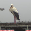10_05-mast.jpg