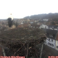 10_05-nest.jpg