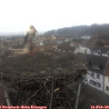 10_15-nest.jpg