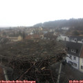 11_40-nest.jpg