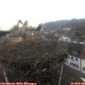 11_55-nest.jpg
