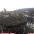12_15-nest.jpg