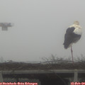12_20-mast.jpg