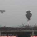 12_30-mast.jpg