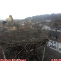 12_30-nest.jpg