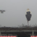 12_35-mast.jpg