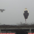 12_40-mast.jpg
