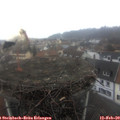 12_40-nest.jpg