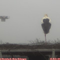 12_50-mast.jpg