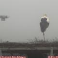 13_00-mast.jpg