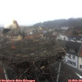 13_00-nest.jpg
