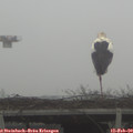 13_05-mast.jpg