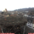 13_05-nest.jpg