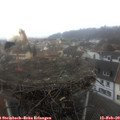 13_10-nest.jpg