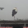 13_25-mast.jpg