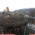 13_40-nest.jpg