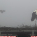 14_00-mast.jpg