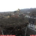 14_25-nest.jpg