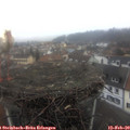 14_35-nest.jpg