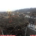 14_40-nest.jpg