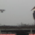 14_45-mast.jpg