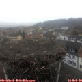 15_00-nest.jpg