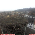 15_30-nest.jpg