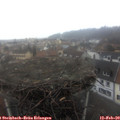 16_25-nest.jpg