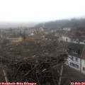 16_35-nest.jpg