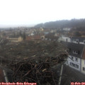 16_45-nest.jpg