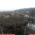 17_05-nest.jpg