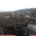 17_10-nest.jpg