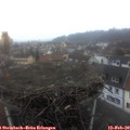 17_20-nest.jpg