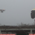 17_25-mast.jpg