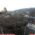 17_25-nest.jpg