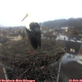 07_40-nest.jpg